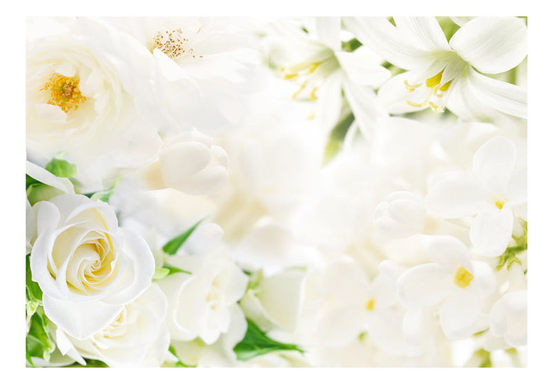 Fototapetes ar ziediem - Baltais pacēlums