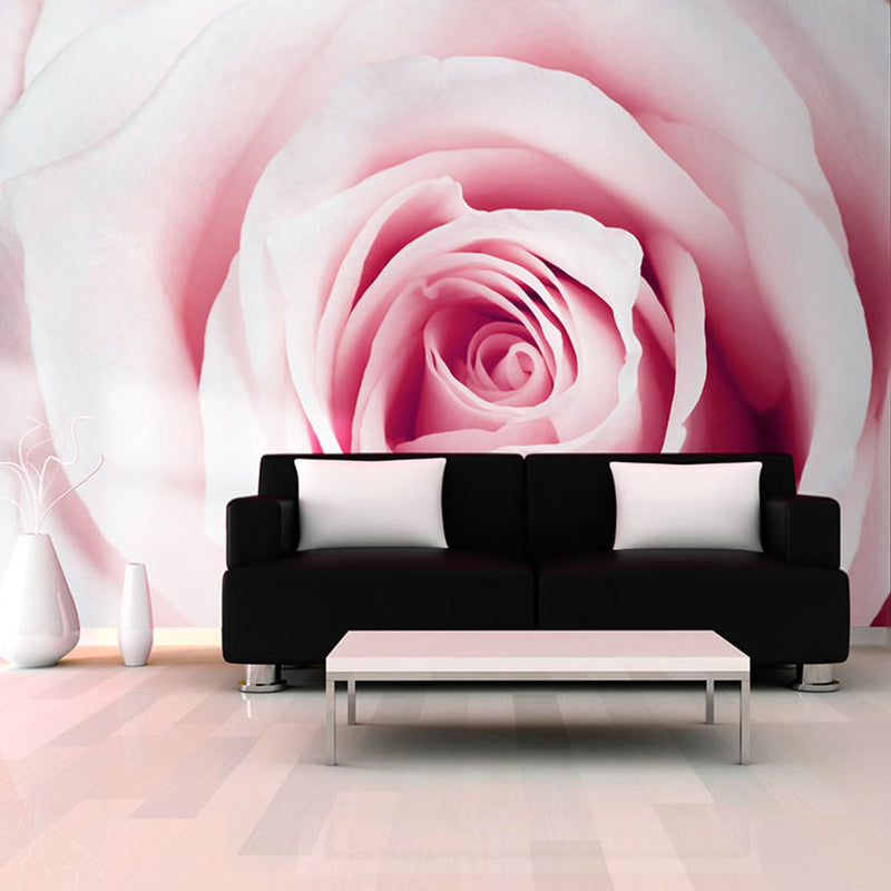 Fototapetes ar ziediem - Rožu labirints
