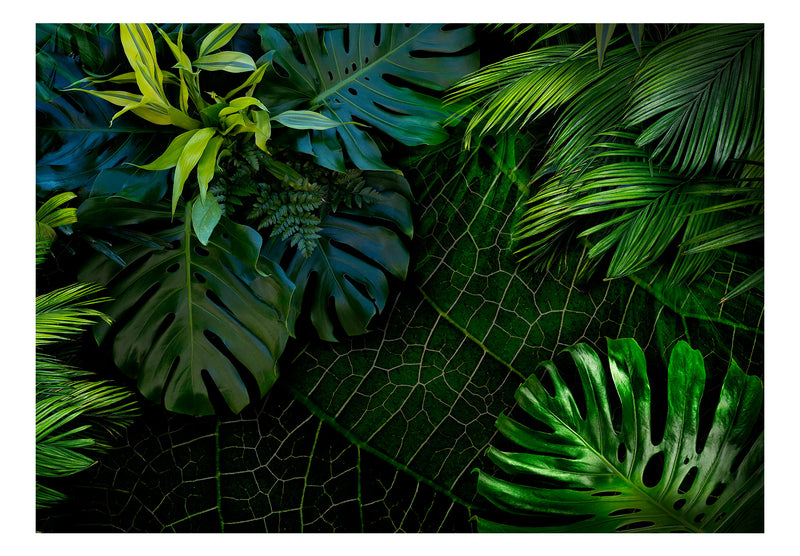 Fototapetes ar ziediem - Tumšie džungļi