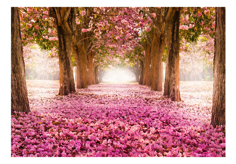 Fototapetes ar meža skatu - Rozā birzs