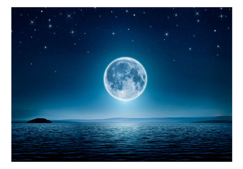 Fototapetes - Mēness apspīdēta nakts
