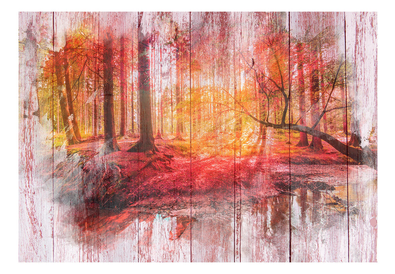 Fototapetes ar meža skatu - Rudens mežs
