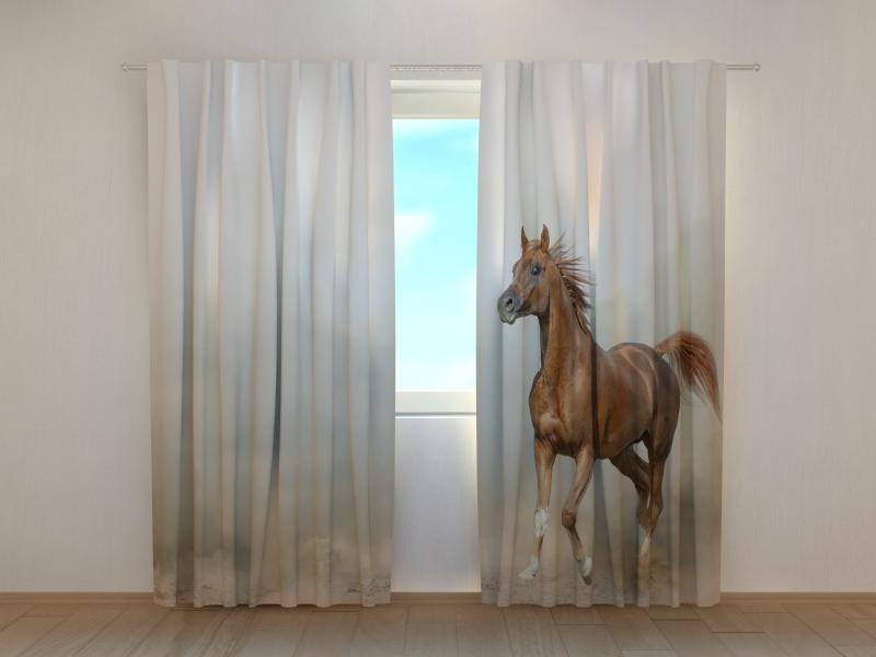 Dienas un nakts aizkari - Arābu ērzelis prērijās 180 x 140 cm (2X 90x140 cm) / SCREEN E-interjers.lv