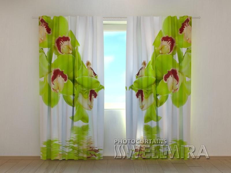 Dienas un nakts aizkari - Kaļķkrāsas orhidejas 180 x 140 cm (2X 90x140 cm) / SCREEN E-interjers.lv
