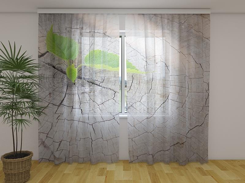 Dienas un nakts aizkari - Koku celmi 180 x 140 cm (2X 90x140 cm) / Сaurspīdīgs šifons E-interjers.lv