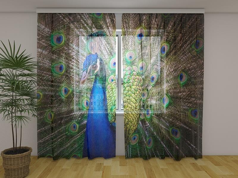 Dienas un nakts aizkari - Pārsteidzošs pāvs 180 x 140 cm (2X 90x140 cm) / Сaurspīdīgs šifons E-interjers.lv