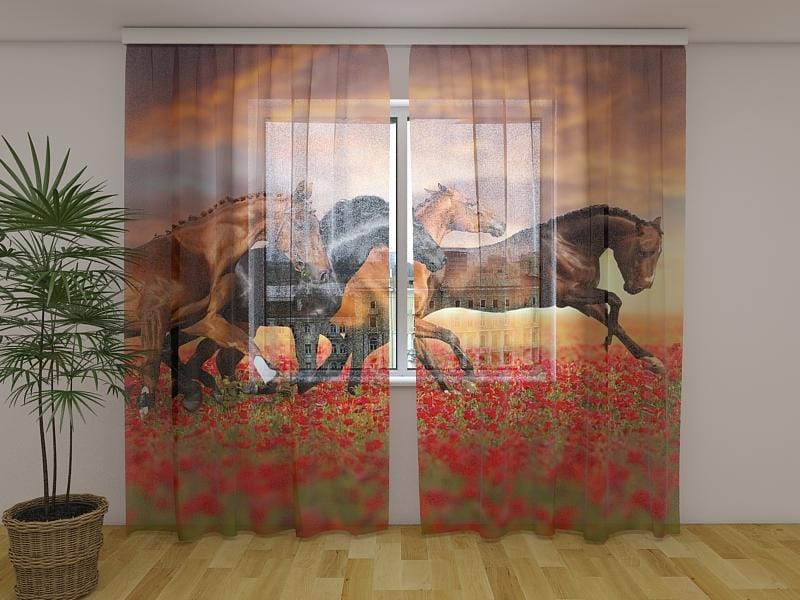 Dienas un nakts aizkari - Zirgi magoņu laukā 180 x 140 cm (2X 90x140 cm) / Сaurspīdīgs šifons E-interjers.lv