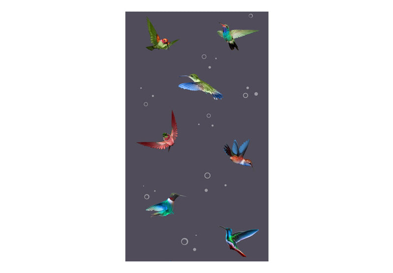 Fototapetes - Kolibriju lidojums (0,50x10 m)