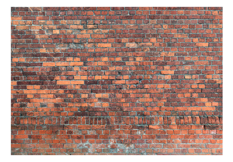 Fototapetes - Vintāža siena (sarkanais ķieģeļis)