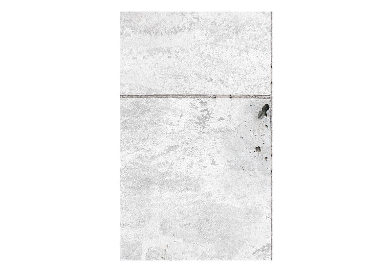 Fototapetes - Concretum murum (0,50x10 m)