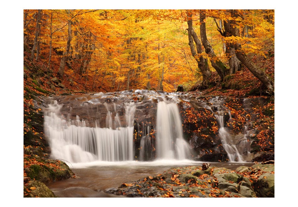 Fototapetes ar meža skatu - Rudens ainava: ūdenskritums mežā E-interjers.lv