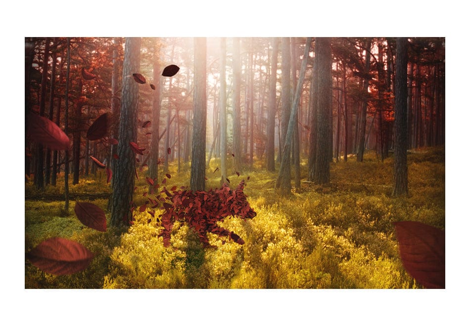 Fototapetes ar mežu - Animisms 450x270 E-interjers.lv