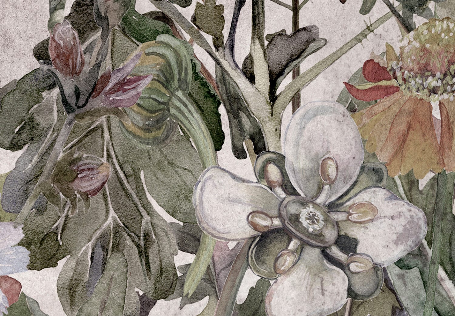 Fototapetes ar pļavas ziediem - Vasaras pļava, 135733 E-interjers.lv