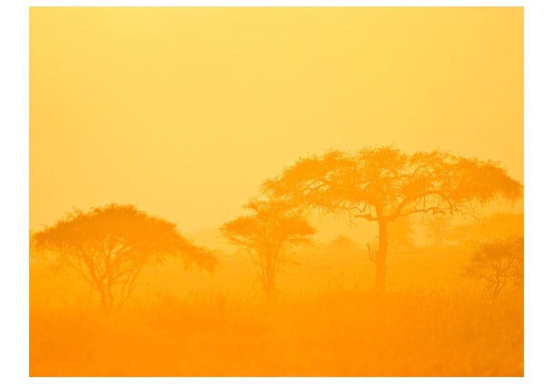 Fototapetes - Oranžā savanna E-interjers.lv