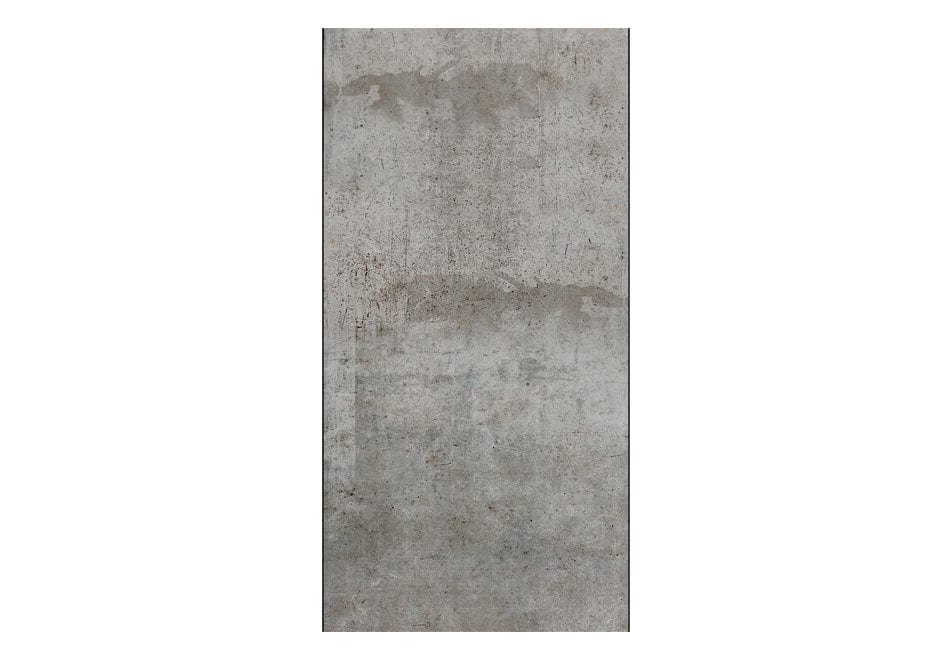Fototapetes - Pelēks balodis (0,50x10 m) 50x1000 E-interjers.lv