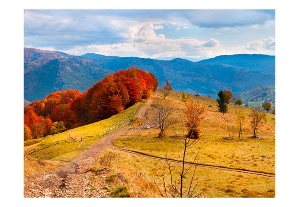 Fototapetes - Rudens ainava Karpatu kalnos E-interjers.lv