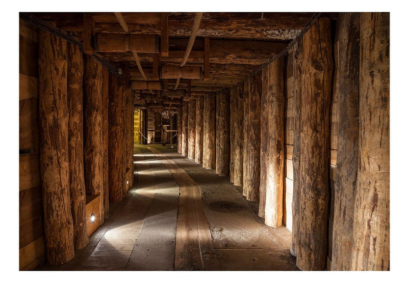 Fototapetes - Wieliczka E-interjers.lv