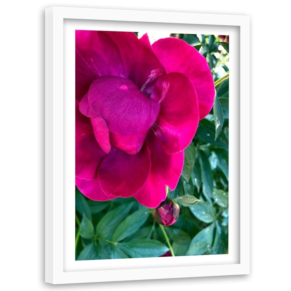 Glezna baltā rāmī - A Large Pink Flower  Home Trends DECO