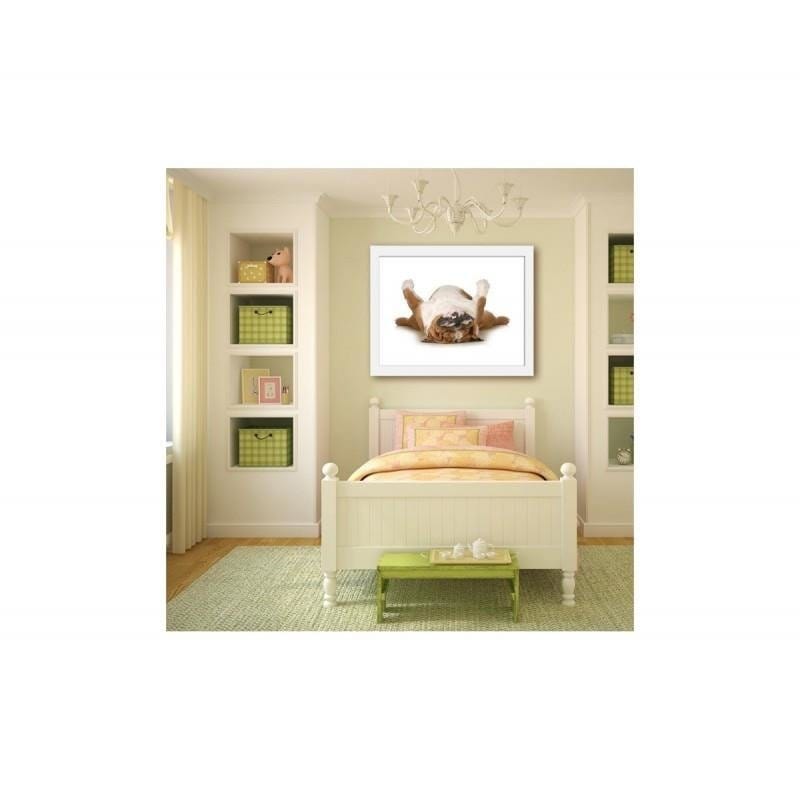 Glezna baltā rāmī - A relaxed dog  Home Trends DECO
