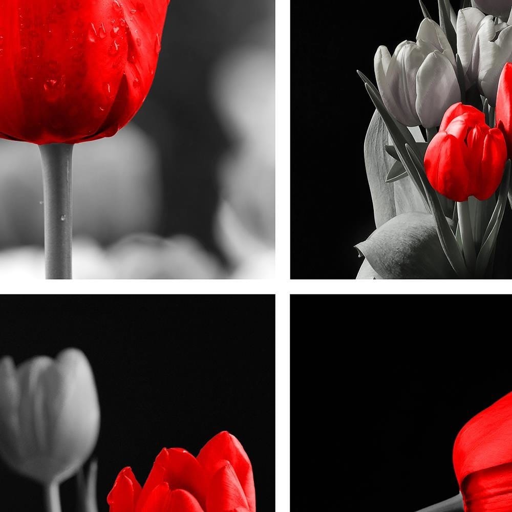 Glezna baltā rāmī - A Set Of Red Tulips  Home Trends DECO