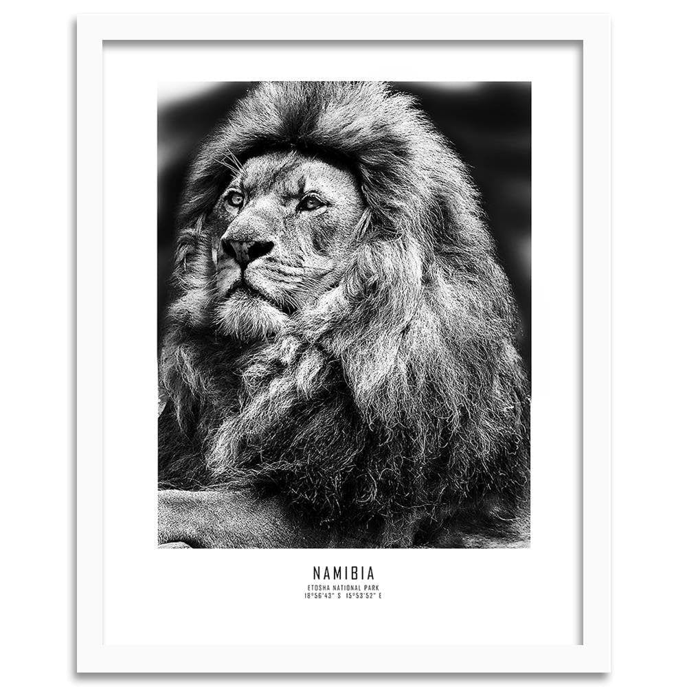 Glezna baltā rāmī - A Symbol Of Africa  Home Trends DECO
