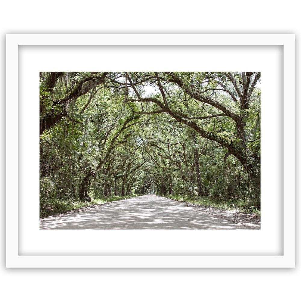 Glezna baltā rāmī - A Wide Path In The Woods  Home Trends DECO
