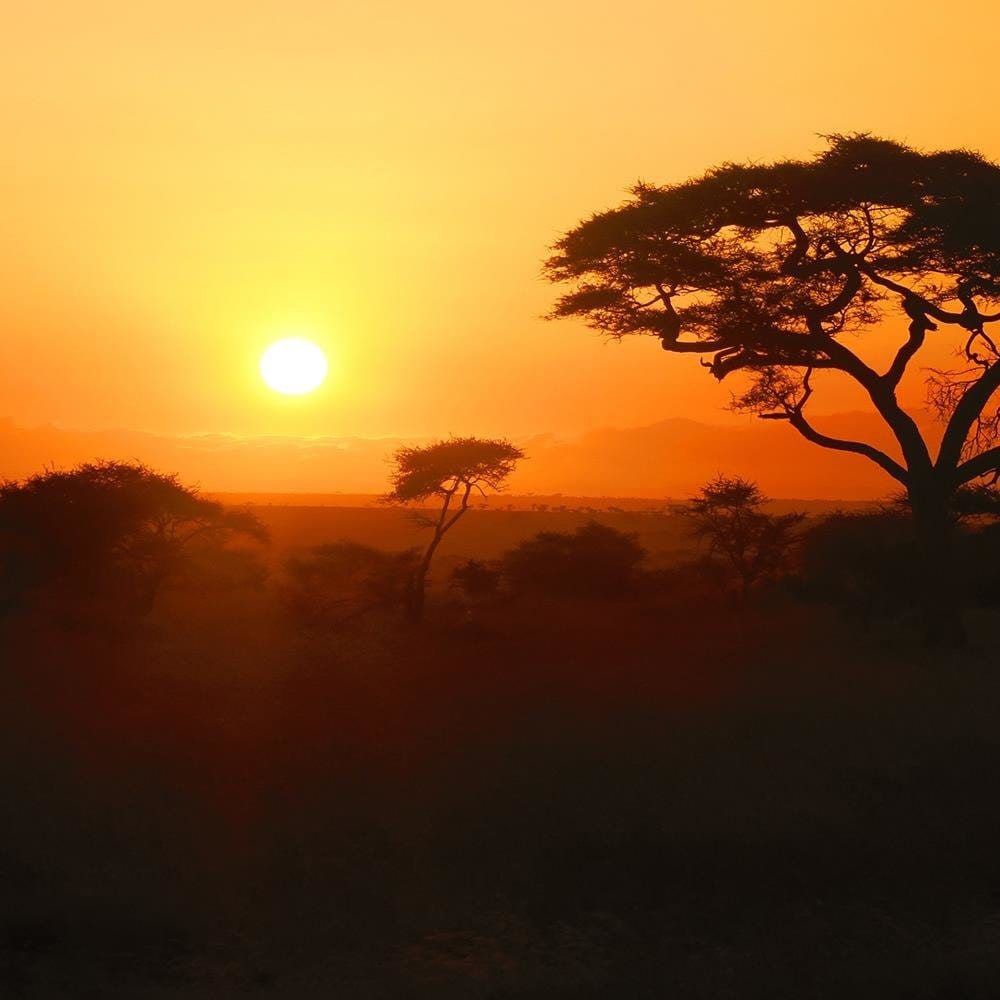 Glezna baltā rāmī - African Sunset  Home Trends DECO