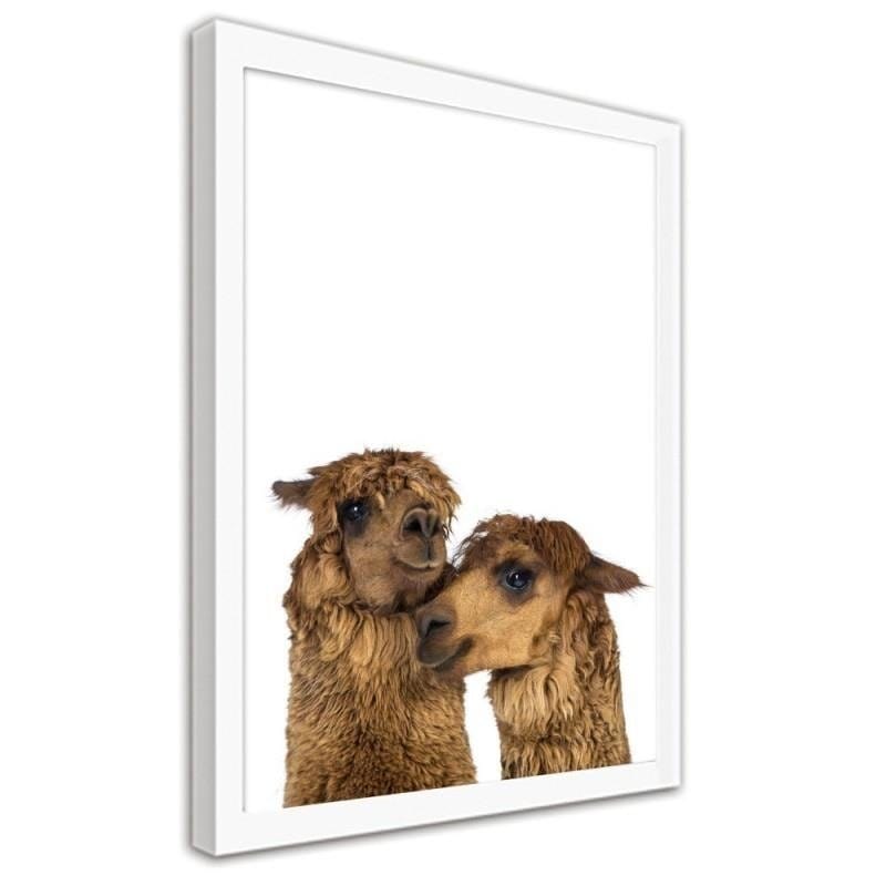 Glezna baltā rāmī - Alpacas  Home Trends DECO