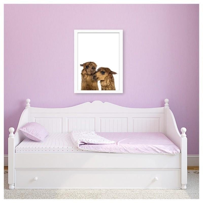 Glezna baltā rāmī - Alpacas  Home Trends DECO