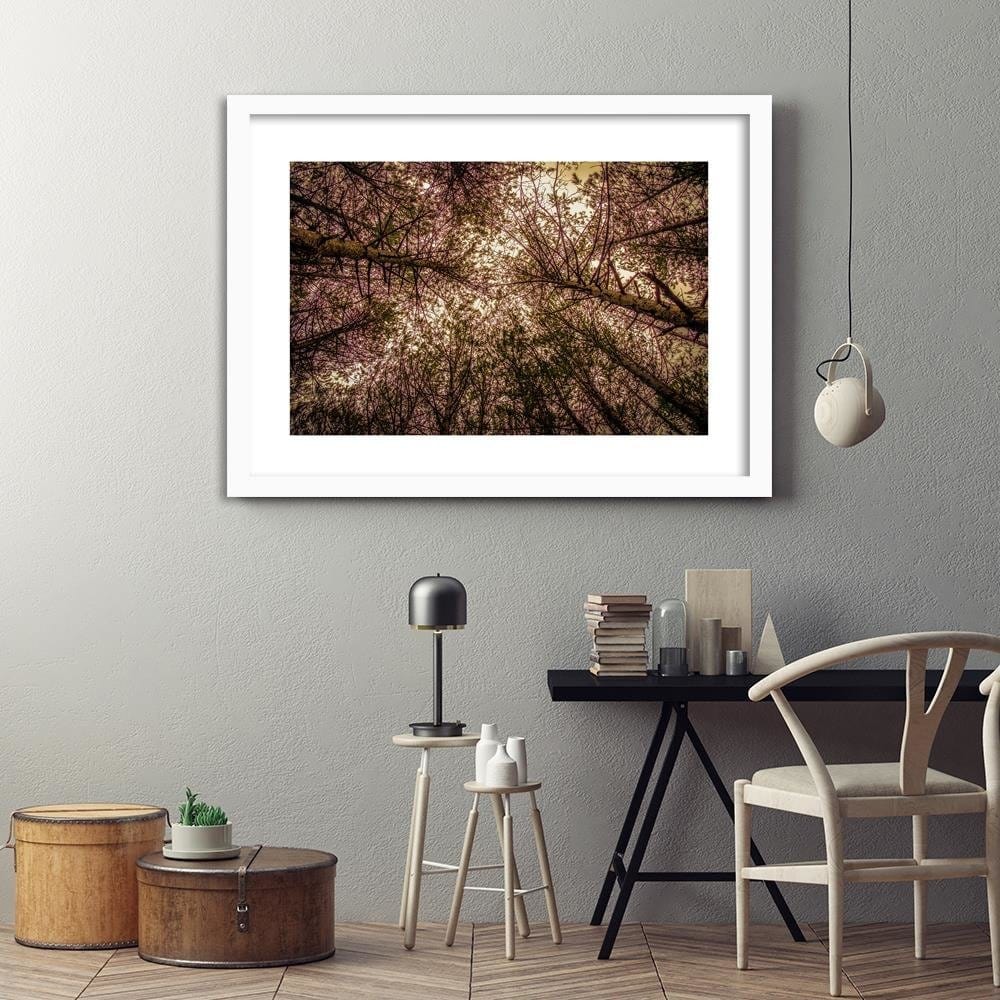 Glezna baltā rāmī - Among The Trees  Home Trends DECO