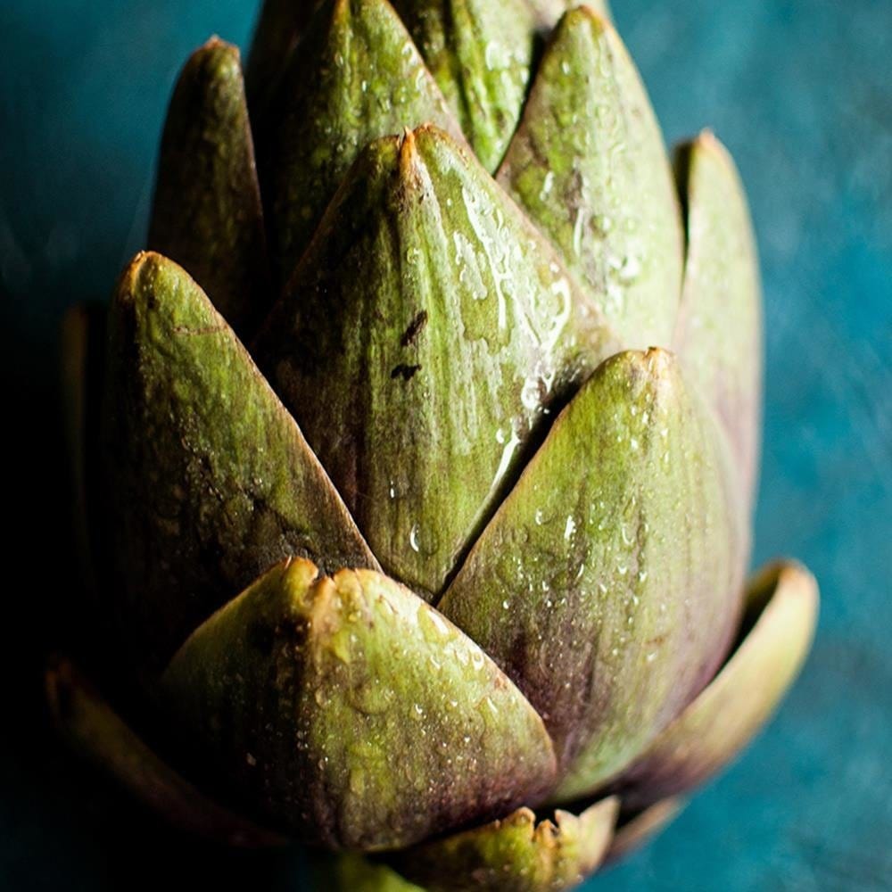 Glezna baltā rāmī - Artichoke  Home Trends DECO