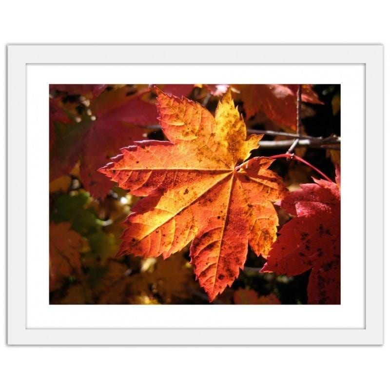 Glezna baltā rāmī - Autumn leaf  Home Trends DECO