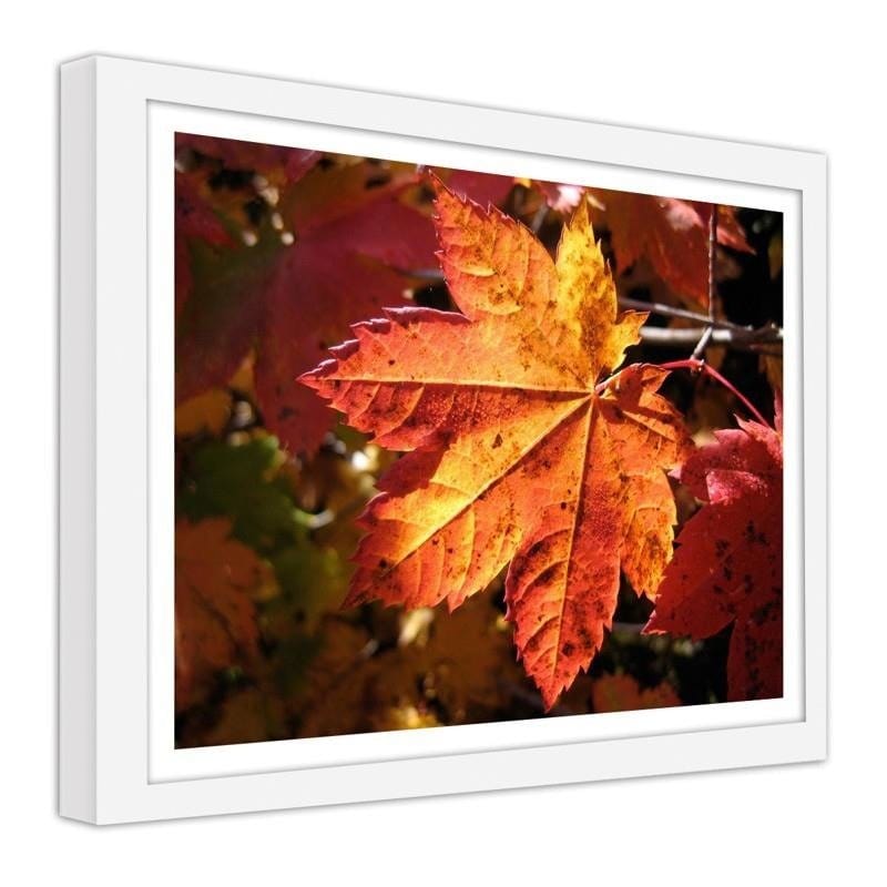 Glezna baltā rāmī - Autumn leaf  Home Trends DECO