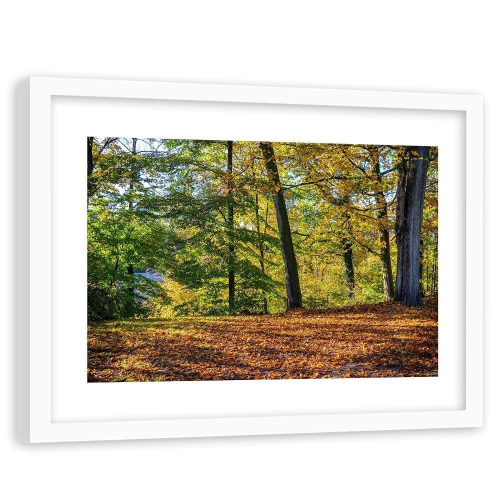 Glezna baltā rāmī - Autumn Leaves In The Park  Home Trends DECO