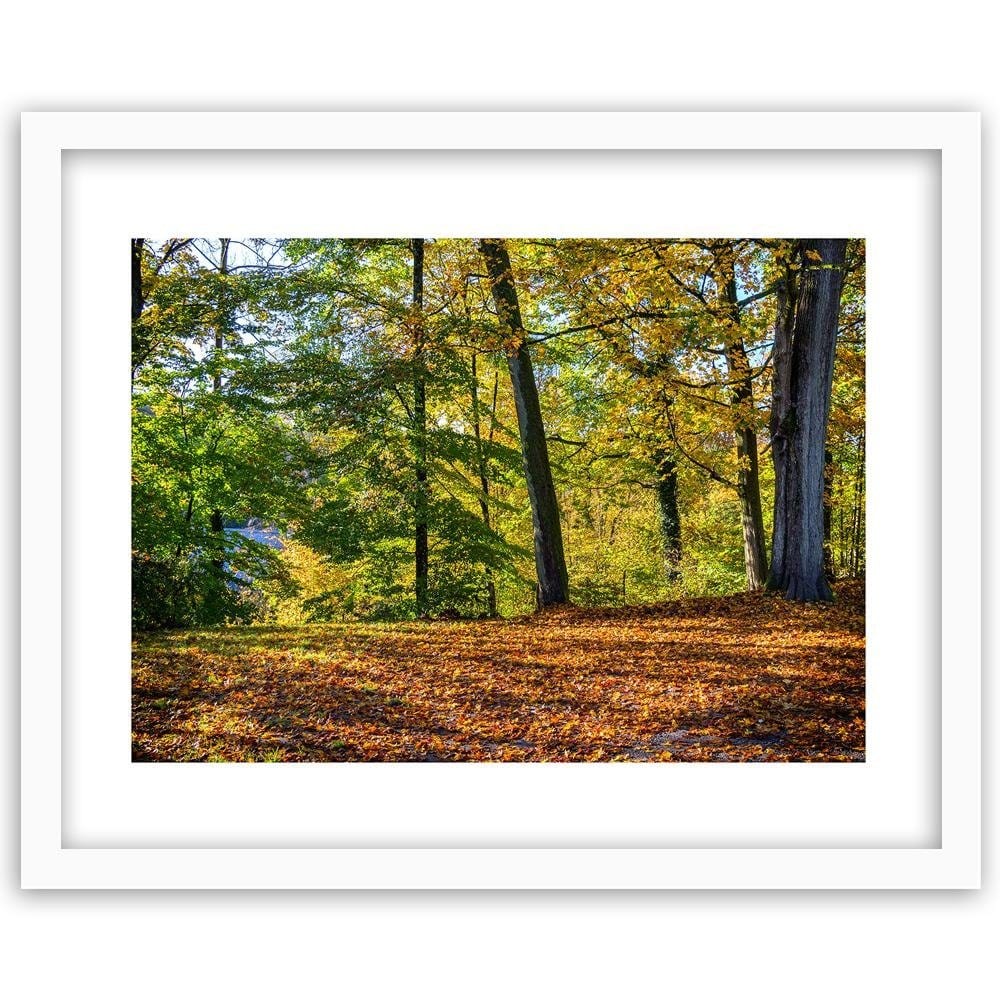 Glezna baltā rāmī - Autumn Leaves In The Park  Home Trends DECO