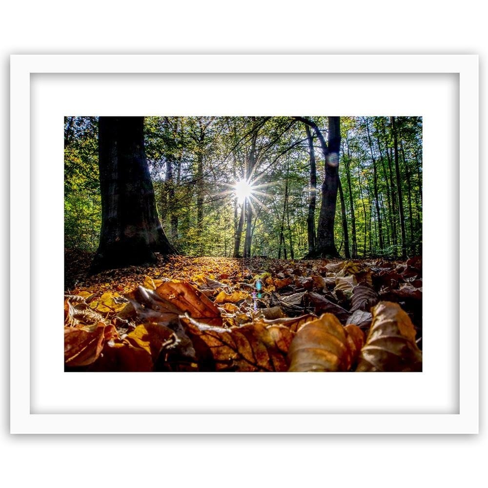 Glezna baltā rāmī - Autumn Leaves In The Sun  Home Trends DECO
