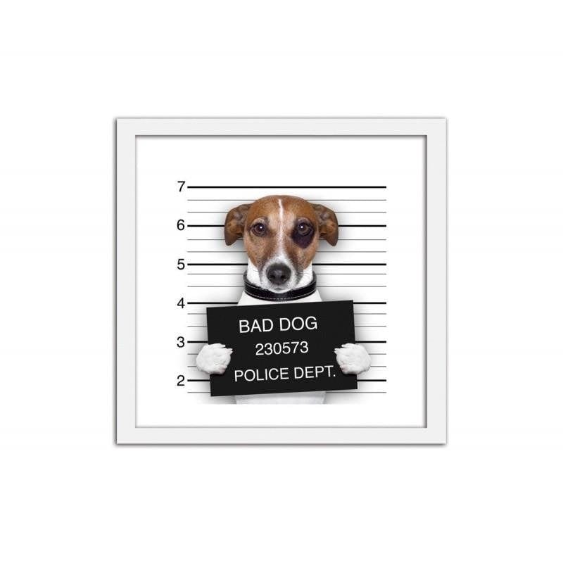 Glezna baltā rāmī - Bad dog 2  Home Trends DECO