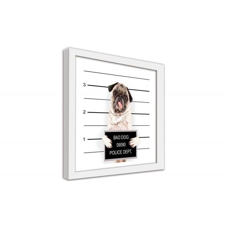 Glezna baltā rāmī - Bad dog  Home Trends DECO