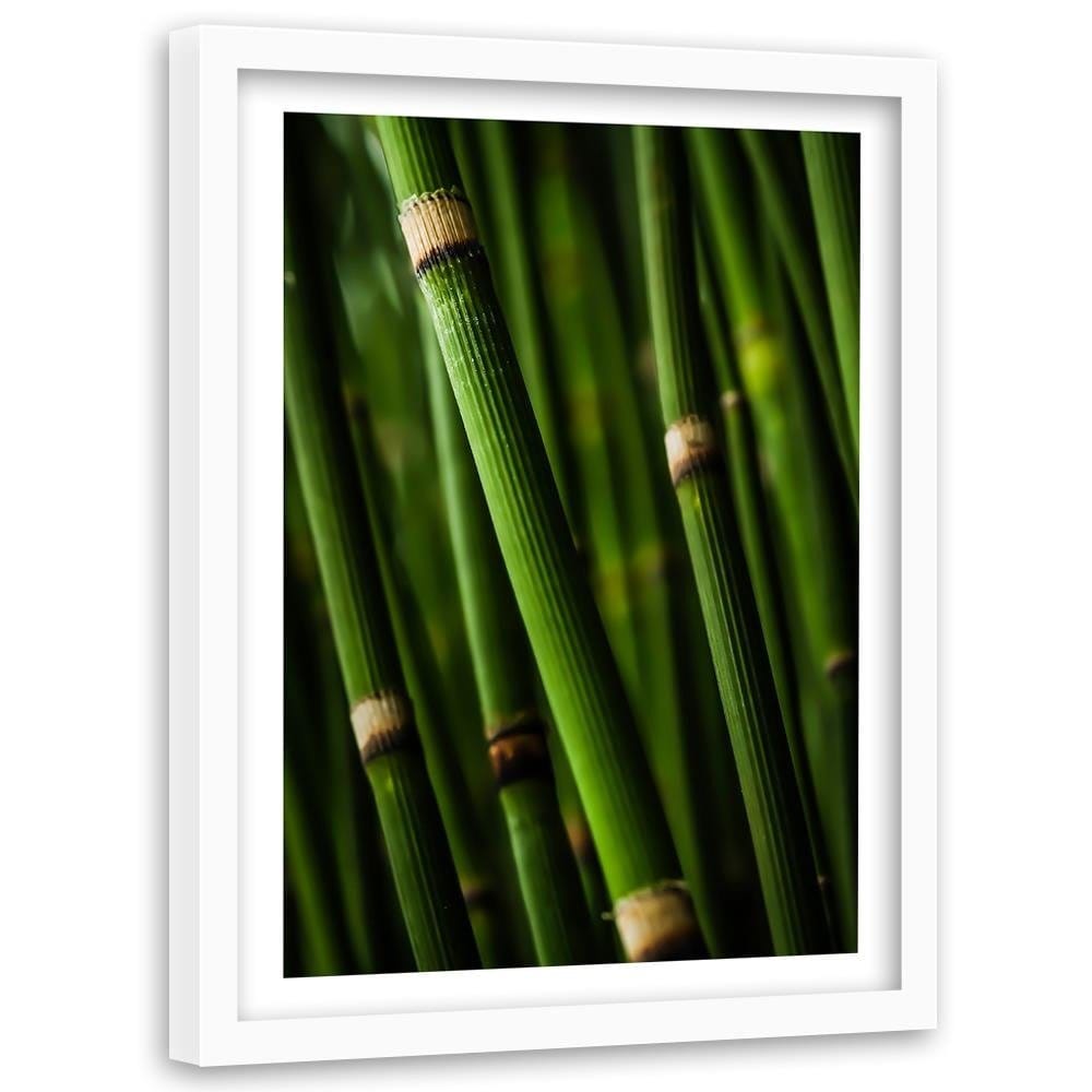 Glezna baltā rāmī - Bamboo Forest  Home Trends DECO