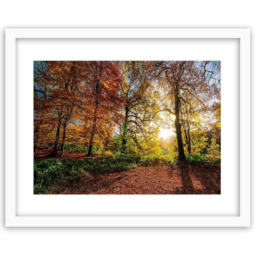 Glezna baltā rāmī - Beautiful Autumn Forest  Home Trends DECO