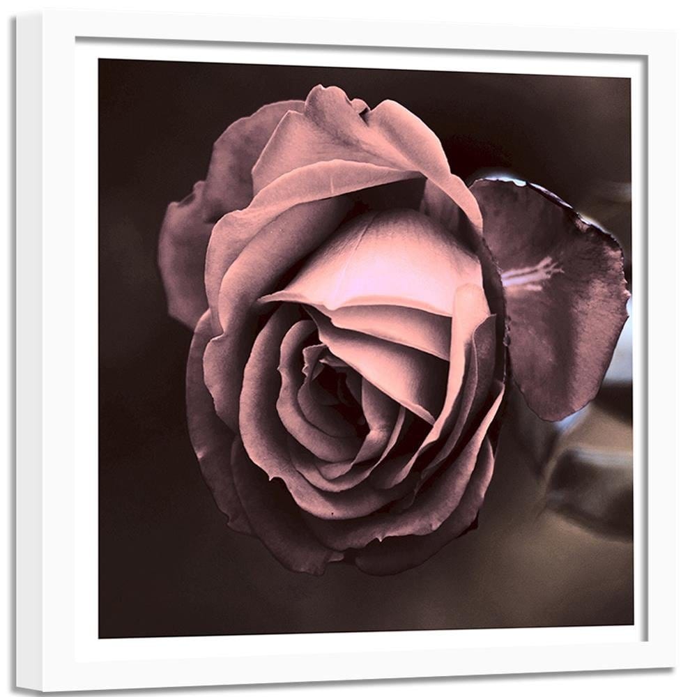 Glezna baltā rāmī - Beautiful Rose  Home Trends DECO