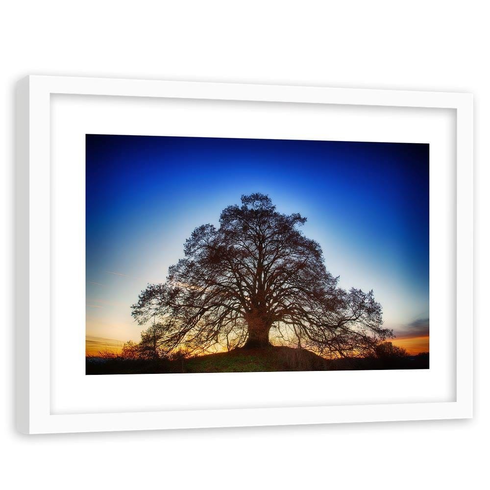 Glezna baltā rāmī - Big Tree At Dusk  Home Trends DECO