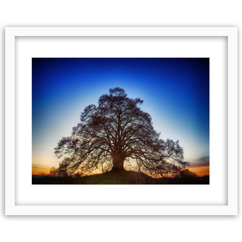 Glezna baltā rāmī - Big Tree At Dusk  Home Trends DECO