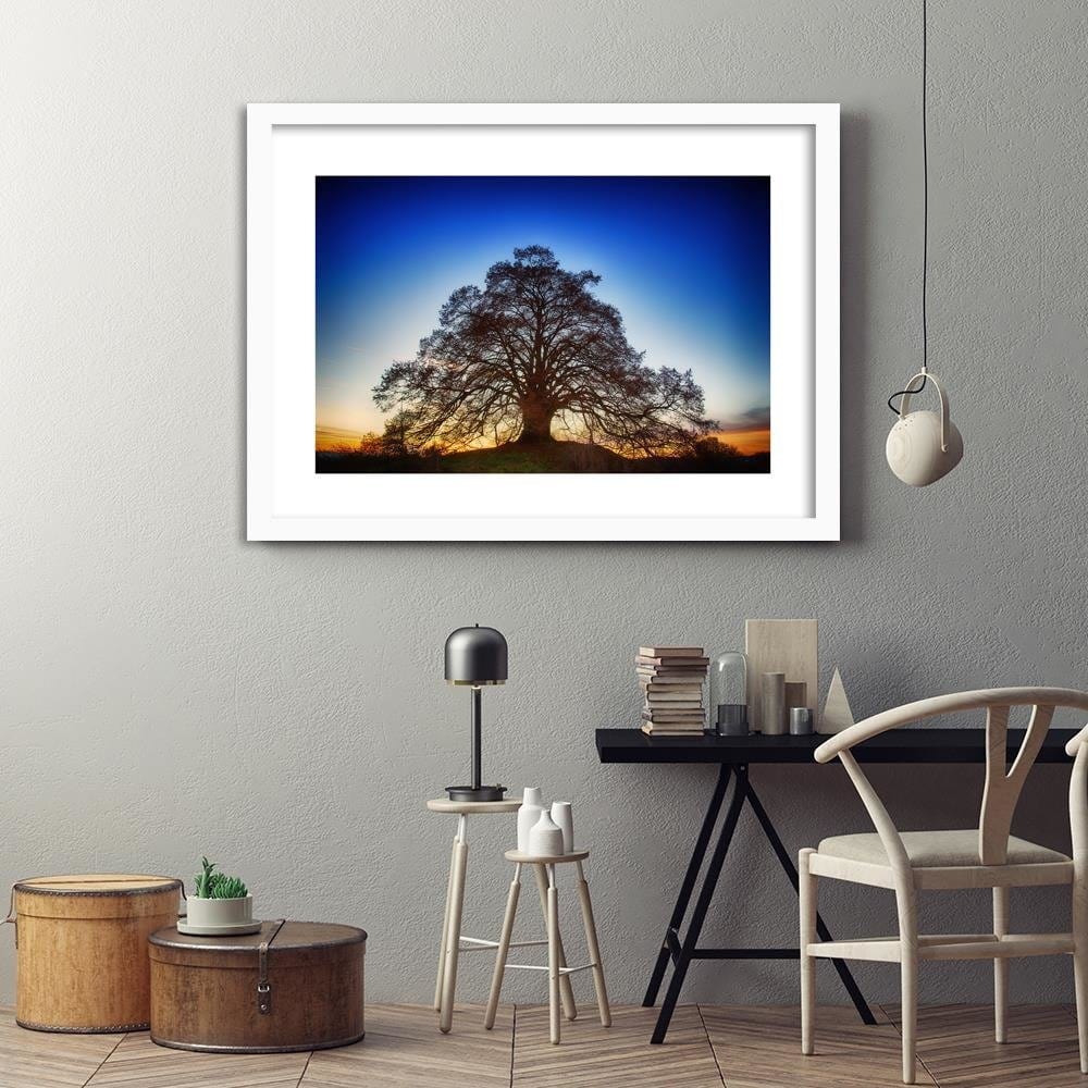 Glezna baltā rāmī - Big Tree At Dusk  Home Trends DECO