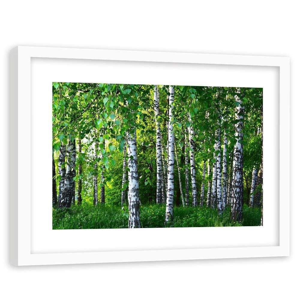 Glezna baltā rāmī - Birch Forest  Home Trends DECO