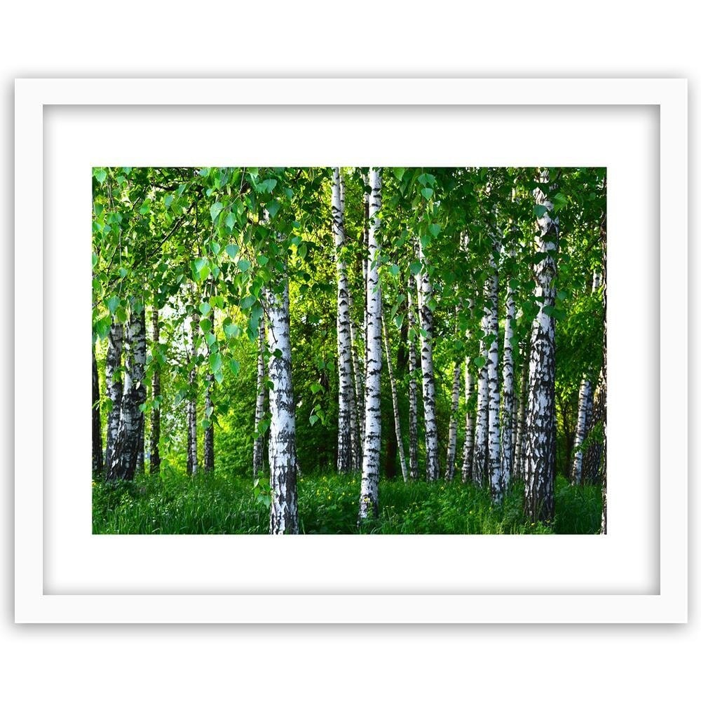 Glezna baltā rāmī - Birch Forest  Home Trends DECO