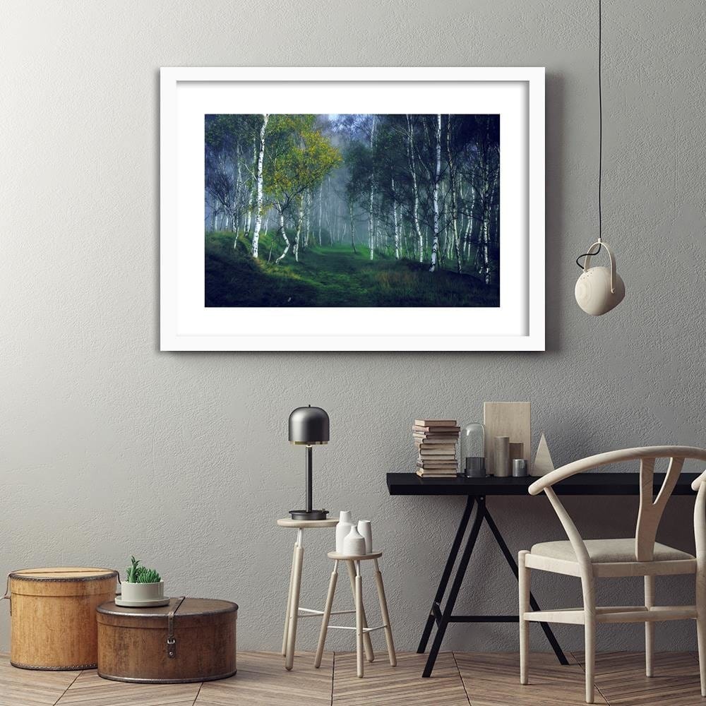 Glezna baltā rāmī - Birch In The Fog  Home Trends DECO