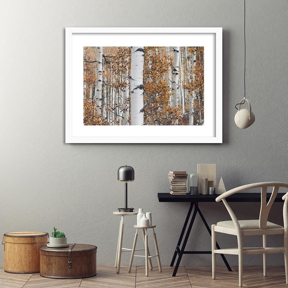 Glezna baltā rāmī - Birches  Home Trends DECO