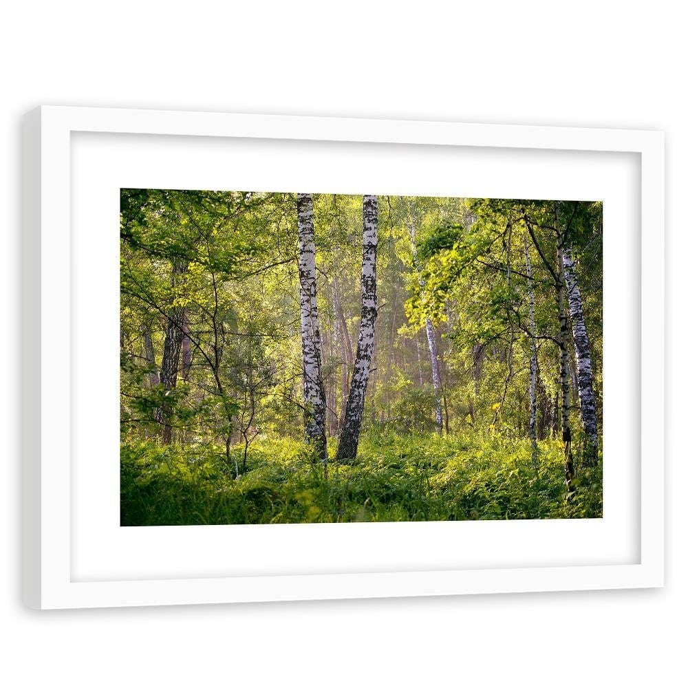 Glezna baltā rāmī - Birches In The Middle Of The Forest  Home Trends DECO