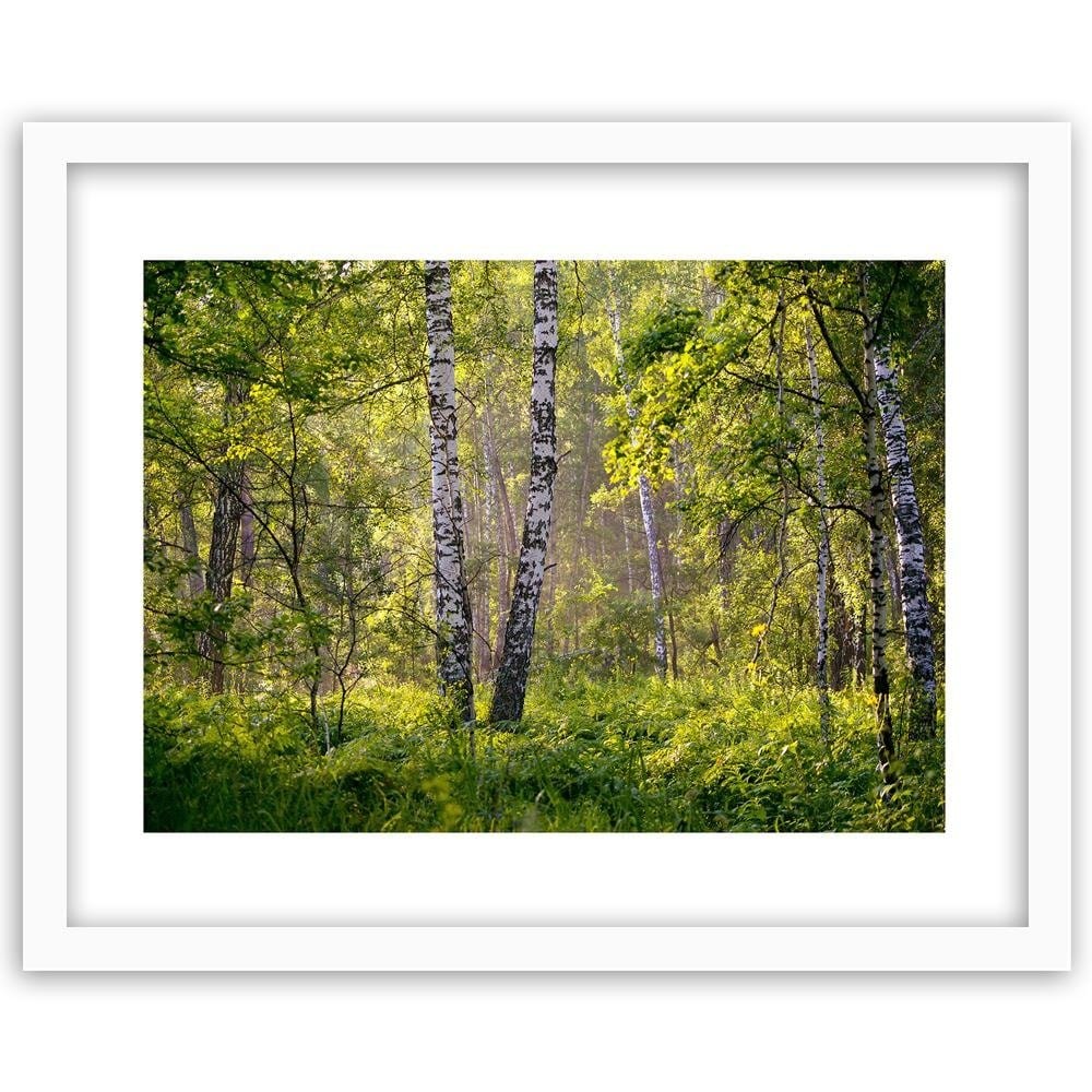 Glezna baltā rāmī - Birches In The Middle Of The Forest  Home Trends DECO